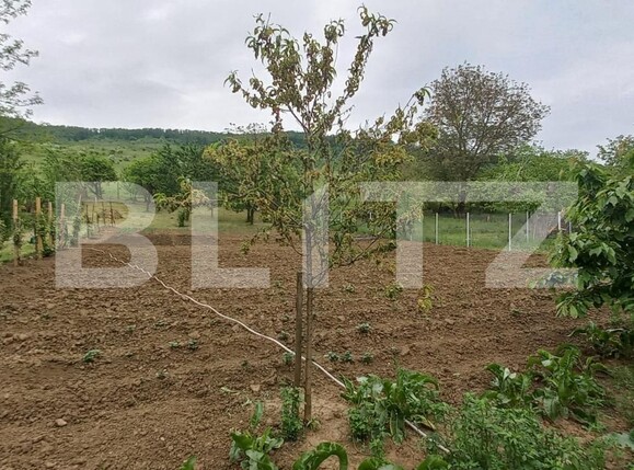 Casa de vânzare 3 camere Exterior Est - 116530CV | BLITZ Bistriţa | Poza10