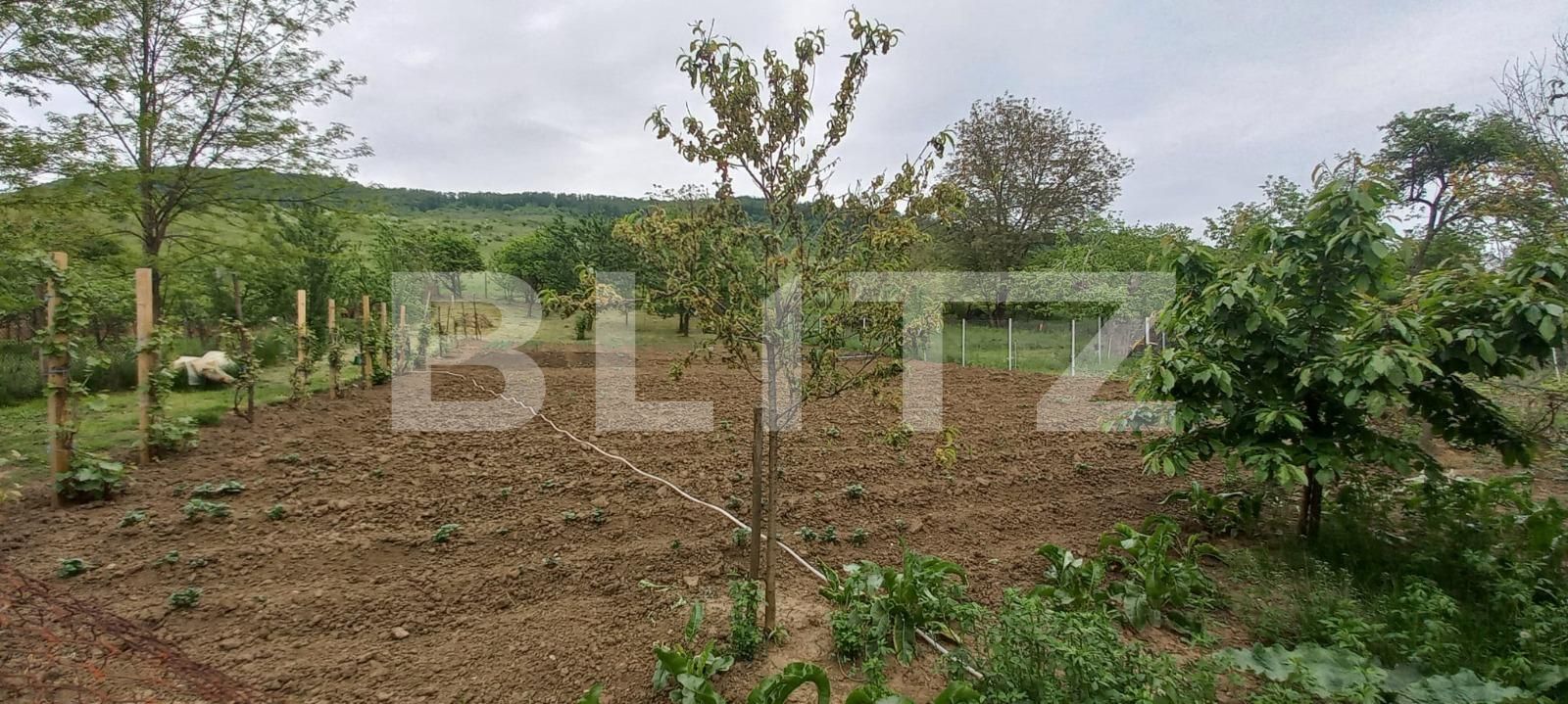 Casa de vânzare 3 camere Exterior Est - 116530CV | BLITZ Bistriţa | Poza10