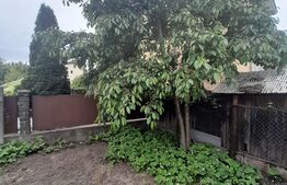 Casa 5 camere, 250mp,  teren 800mp, zona Libertatii