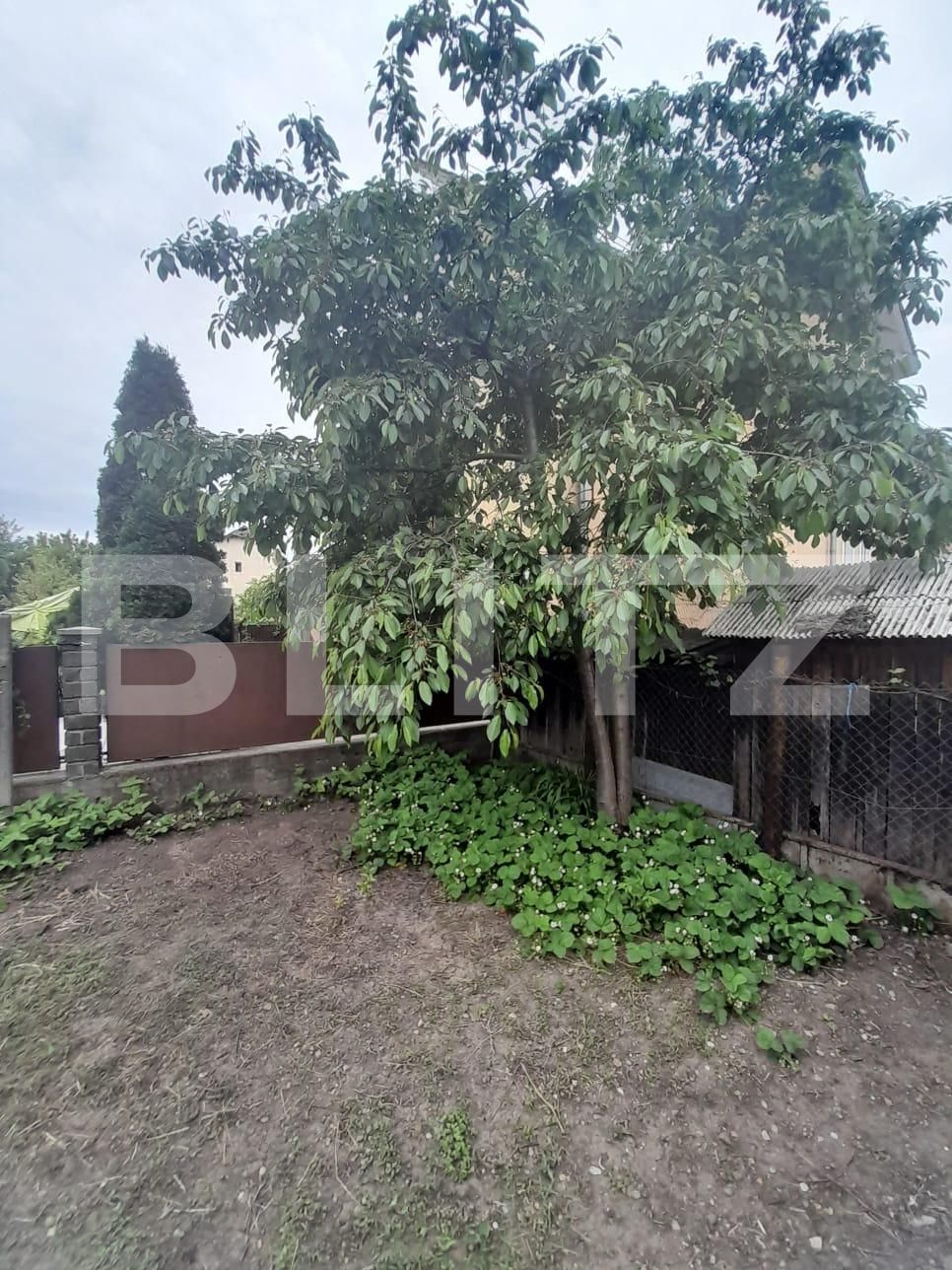 Casa de vânzare 5 camere Independenței - 116577CV | BLITZ Bistriţa | Poza3