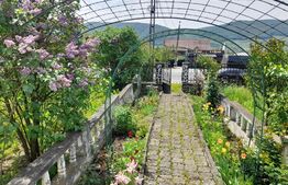 Casa 3 camere, 140mp, Sud