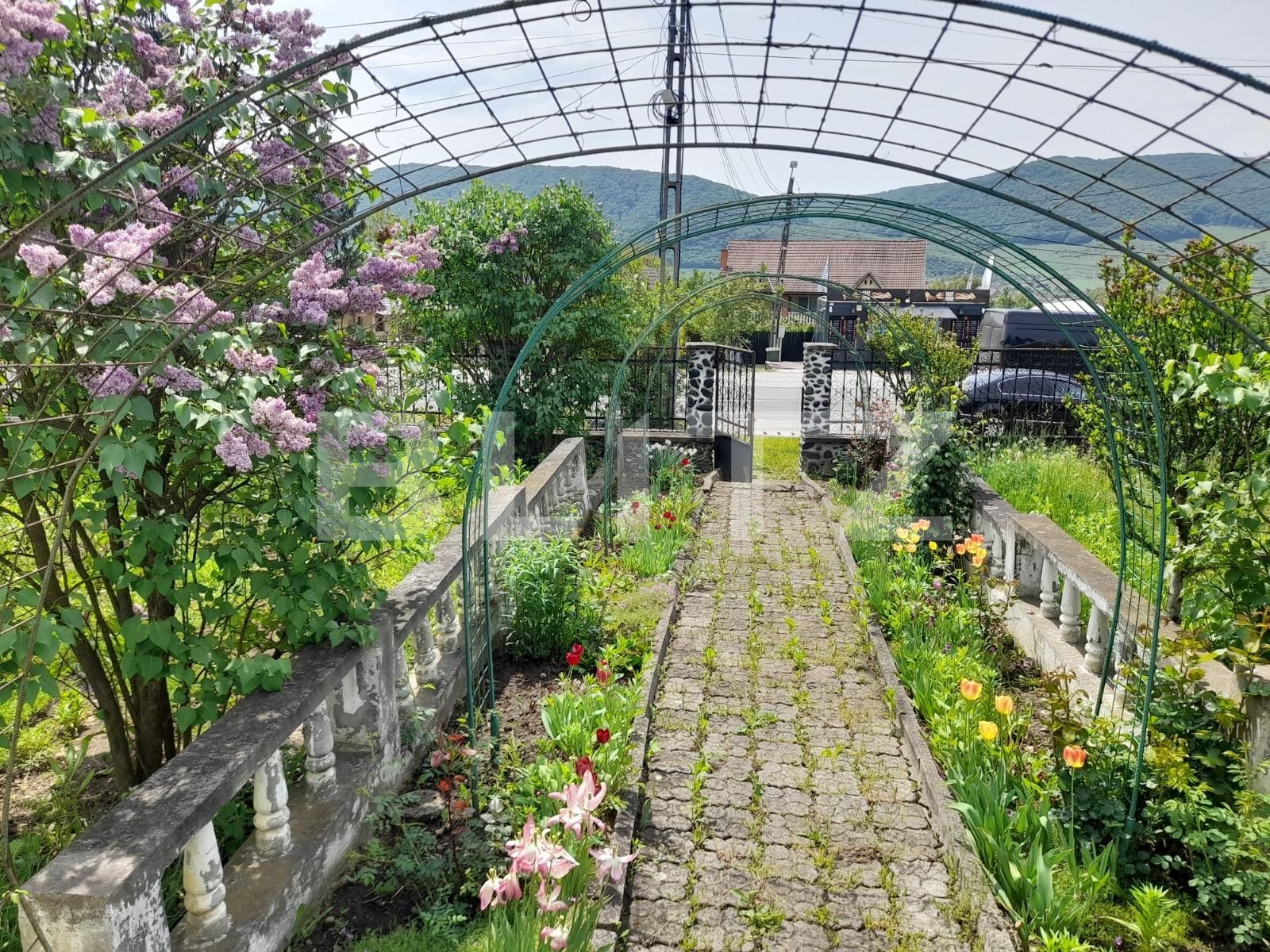 Casa de vânzare 3 camere Sud - 116611CV | BLITZ Bistriţa | Poza7