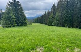 Teren 7000, Piatra Fantanele - Castel Dracula