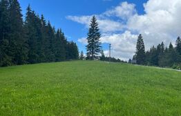 Teren 7000, Piatra Fantanele - Castel Dracula