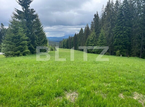 Teren de vânzare Exterior Nord - 116650TV | BLITZ Bistriţa | Poza2