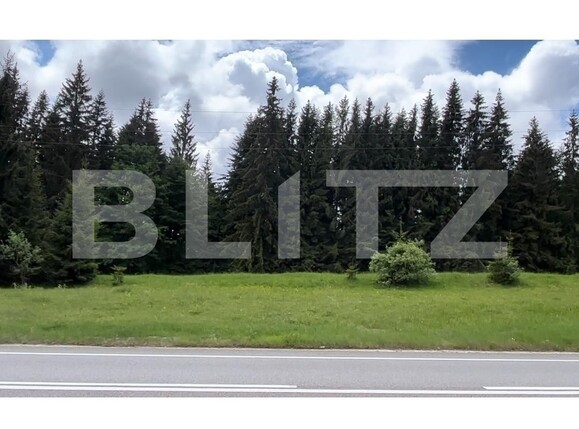 Teren de vânzare Exterior Nord - 116650TV | BLITZ Bistriţa | Poza3
