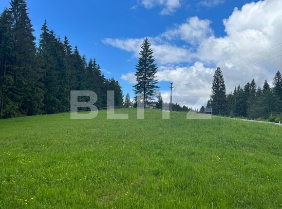 Teren de vânzare Exterior Nord - 116650TV | BLITZ Bistriţa | Poza1