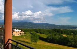 Cabana de vanzare in Stramba