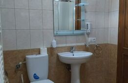 Cabana de vanzare in Stramba