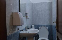 Cabana de vanzare in Stramba