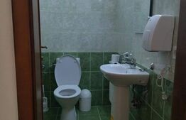 Cabana de vanzare in Stramba