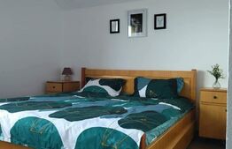 Cabana de vanzare in Stramba