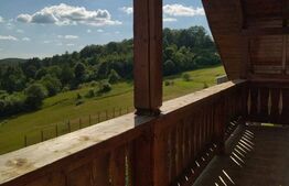 Cabana de vanzare in Stramba