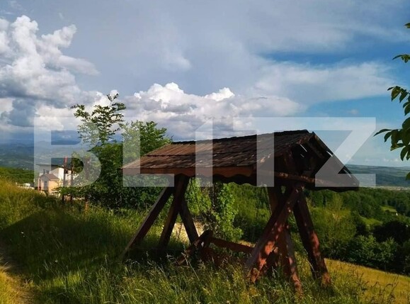 Casa de vânzare 4 camere Josenii Bargaului - 116749CV | BLITZ Bistriţa | Poza5