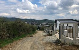 Teren de vanzare in Bistrita, 5080 mp