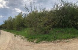 Teren de vanzare in Bistrita, 5080 mp