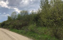 Teren de vanzare in Bistrita, 5080 mp