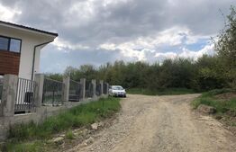 Teren de vanzare in Bistrita, 5080 mp