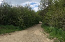 Teren de vanzare in Bistrita, 5080 mp