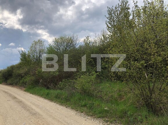Teren de vânzare Periferie - 116768TV | BLITZ Bistriţa | Poza2