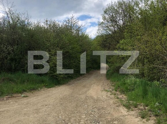Teren de vânzare Periferie - 116768TV | BLITZ Bistriţa | Poza6