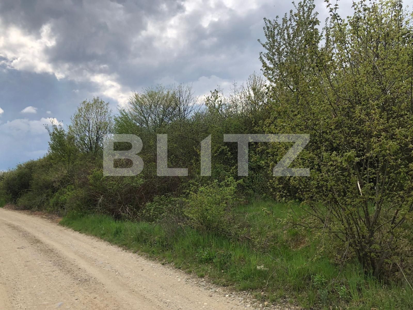 Teren de vânzare Periferie - 116768TV | BLITZ Bistriţa | Poza2