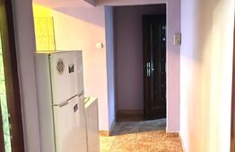 Apartament de 2 camere, suprafata utila 45 mp, zona Decebal