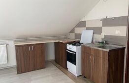 Apartament 2 camere, 48mp, Cetatii