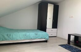 Apartament 2 camere, 48mp, Cetatii