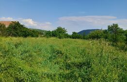 Casa 3 camere, renovabila, 2500 mp de teren, Crainimat