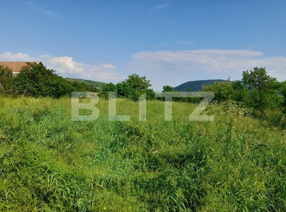 Casa de vânzare 3 camere Sud - 117371CV | BLITZ Bistriţa | Poza2