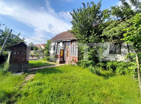 Casa de vânzare 3 camere Sud - 117371CV | BLITZ Bistriţa | Poza3