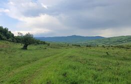 Teren extravilan, 2,5 ha, Dorolea