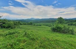 Teren extravilan, 2,5 ha, Dorolea