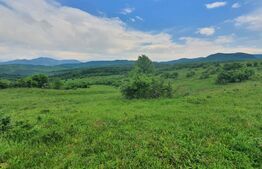 Teren extravilan, 2,5 ha, Dorolea