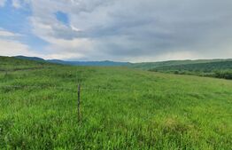 Teren extravilan, 2,5 ha, Dorolea