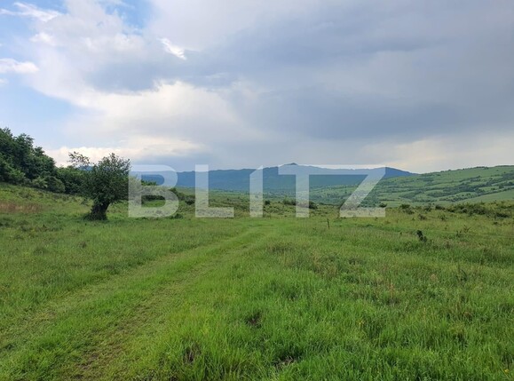 Teren de vânzare Periferie - 117406TV | BLITZ Bistriţa | Poza2