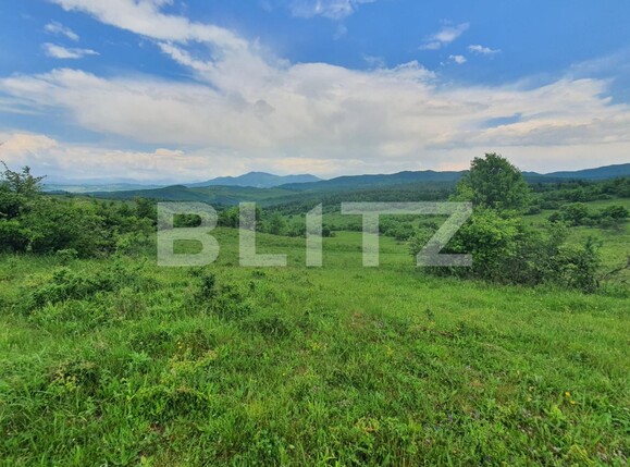 Teren de vânzare Periferie - 117406TV | BLITZ Bistriţa | Poza3