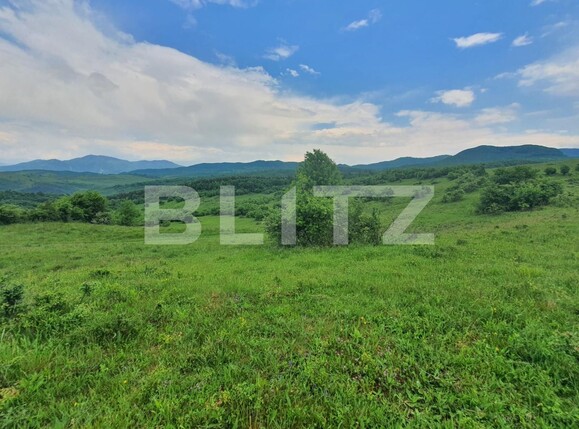 Teren de vânzare Periferie - 117406TV | BLITZ Bistriţa | Poza4