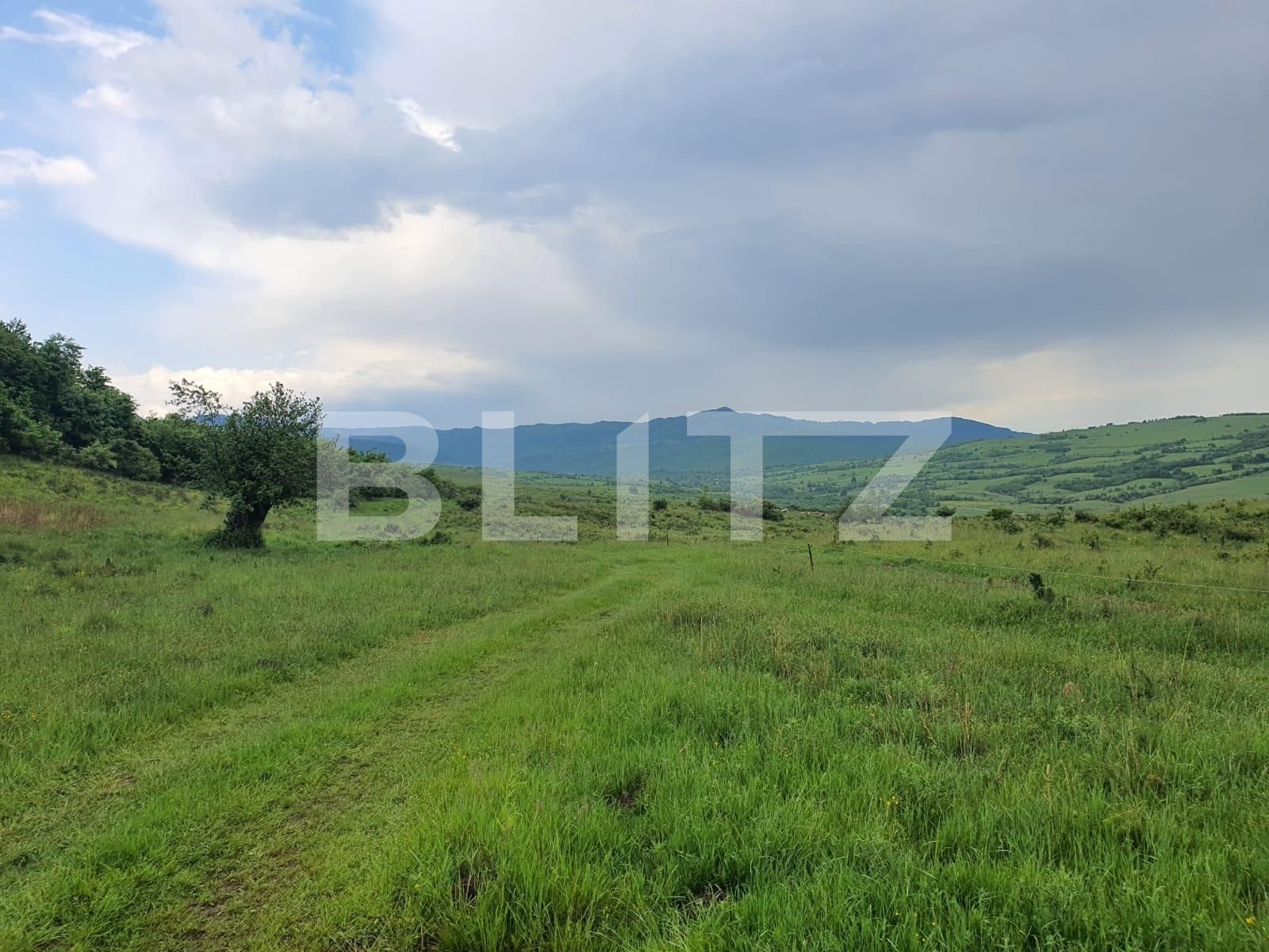 Teren de vânzare Periferie - 117406TV | BLITZ Bistriţa | Poza2