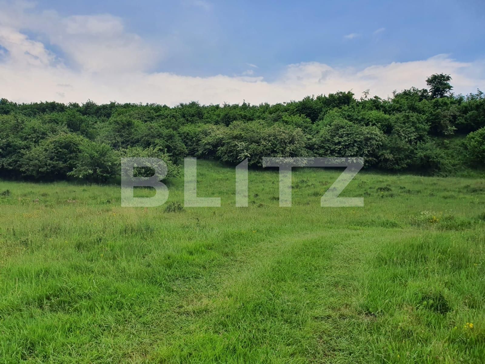 Teren de vânzare Periferie - 117406TV | BLITZ Bistriţa | Poza6