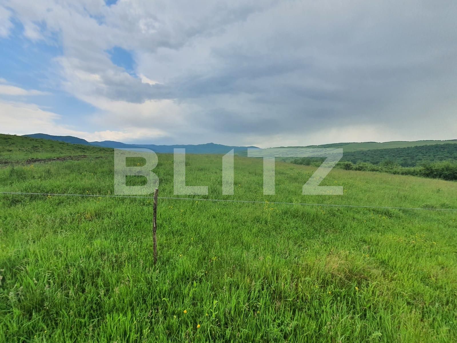 Teren de vânzare Periferie - 117406TV | BLITZ Bistriţa | Poza5