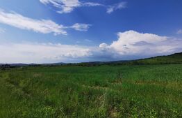 Teren, 58 de ari, zona Dorolea