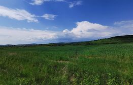 Teren, 58 de ari, zona Dorolea