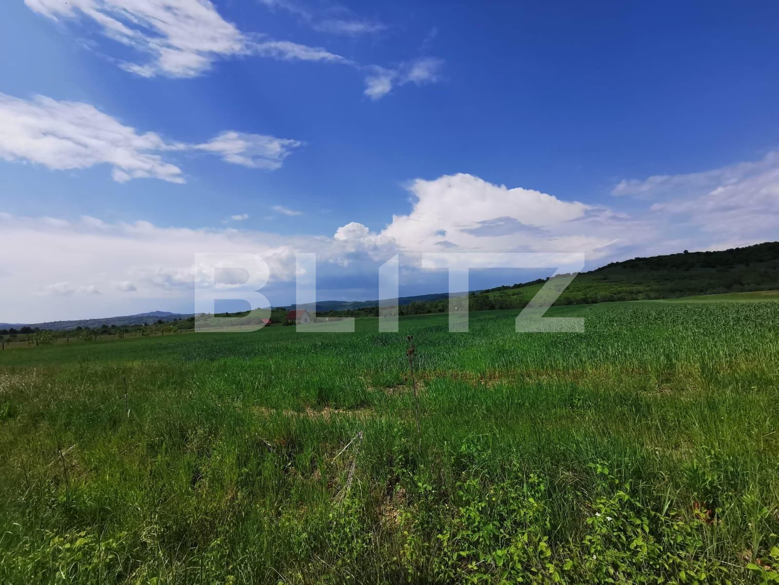 Teren de vânzare Periferie - 117415TV | BLITZ Bistriţa | Poza2