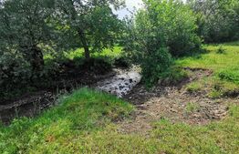 Teren, aproximativ 1 ha, in apropiere de Bistrita