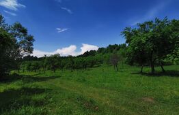 Teren, aproximativ 1 ha, in apropiere de Bistrita