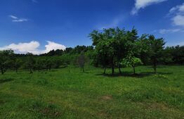 Teren, aproximativ 1 ha, in apropiere de Bistrita