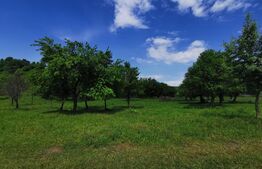 Teren, aproximativ 1 ha, in apropiere de Bistrita