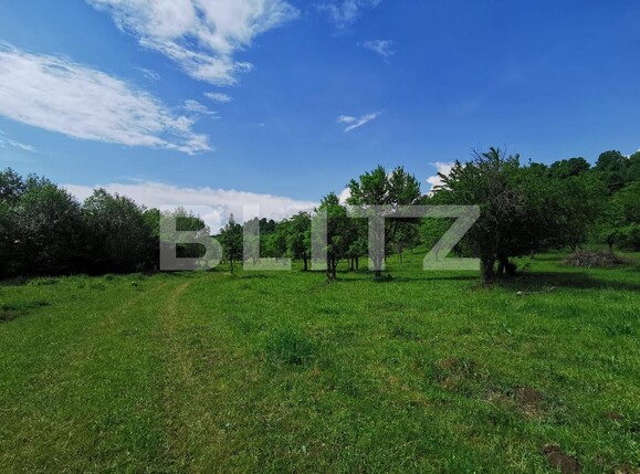 Teren de vânzare Periferie - 117422TV | BLITZ Bistriţa | Poza2